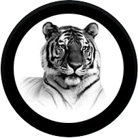 Gobo Beispiel Tiger